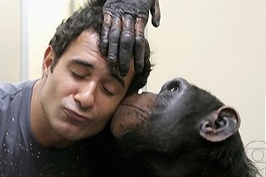 Marcos Pasquim se dá bem com chimpanzé, em ‘Caras & Bocas’