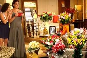 Viver a Vida: Jean lota sala de Tereza de flores