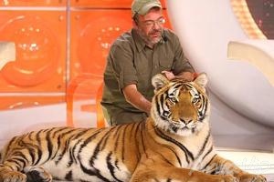 Sergio Rangel leva tigre para o palco de Eliana