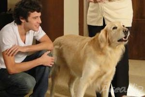 Escrito nas Estrelas: Daniel faz Pepe avançar em Sofia e Beatriz