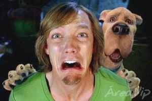 Com o fime “Scooby Doo 2”, Cine Espetacular assegura vice-liderança isolada para o SBT